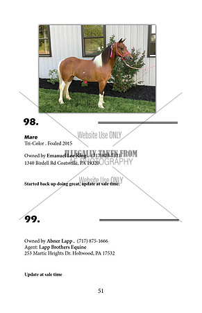 Pony Sale Catalog51