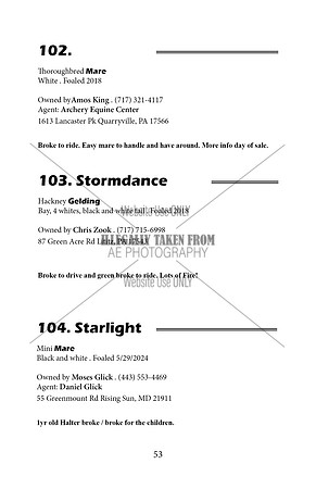 Pony Sale Catalog53