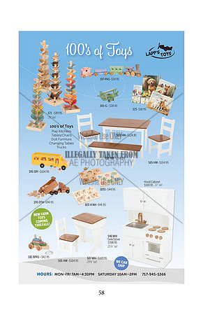 Pony Sale Catalog58
