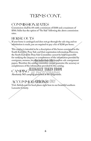Pony Sale Catalog6