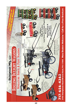 Pony Sale Catalog60
