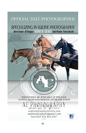Pony Sale Catalog61