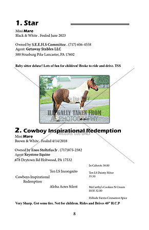 Pony Sale Catalog8