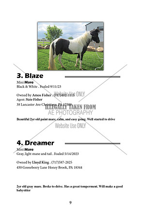Pony Sale Catalog9