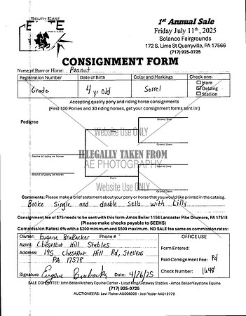 Elite Pony Sale Consignment Forms_0005