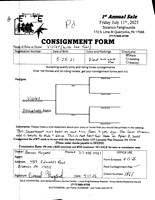Elite Pony Sale Consignment Forms_0007