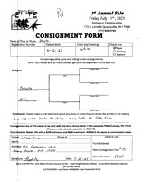 Elite Pony Sale Consignment Forms_0009
