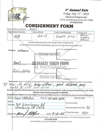 Elite Pony Sale Consignment Forms_0019