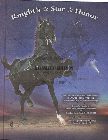 Elite Pony Sale Consignment Forms_0025