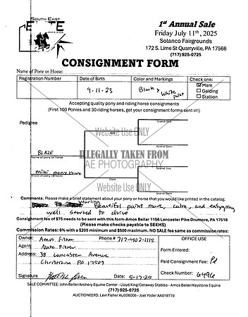 Elite Pony Sale Consignment Forms_0027