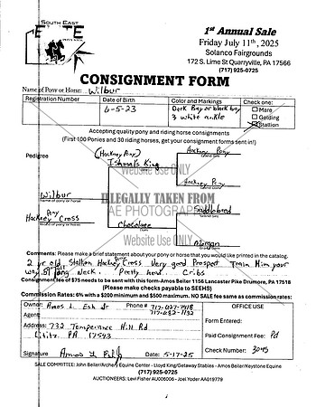 Elite Pony Sale Consignment Forms_0029