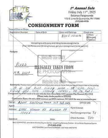 Elite Pony Sale Consignment Forms_0032