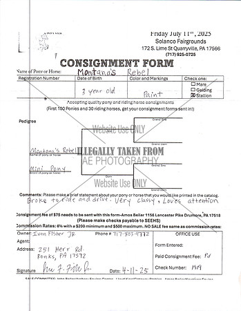 Elite Pony Sale Consignment Forms_0037