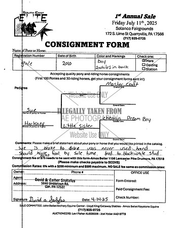 Elite Pony Sale Consignment Forms_0042