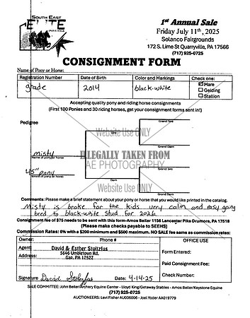 Elite Pony Sale Consignment Forms_0043