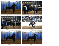 Lot 85