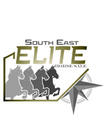 Southeastelite-horse sale