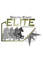 Southeastelite-horse sale