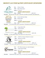 Benefit-Sponsors-page1