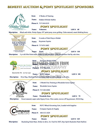 Benefit-Sponsors-page1