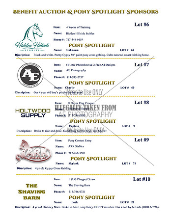 Benefit-Sponsors-page2