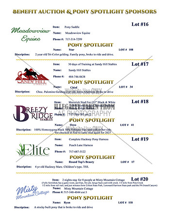Benefit-sponsors-page4