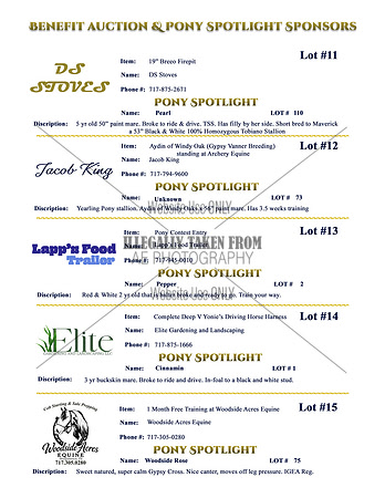 Benefit-Sponsors-page3