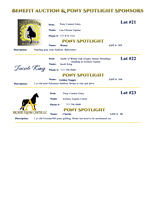 Benefit-sponsors-page 5