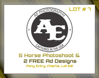 Benefit-sponsor-lot 7