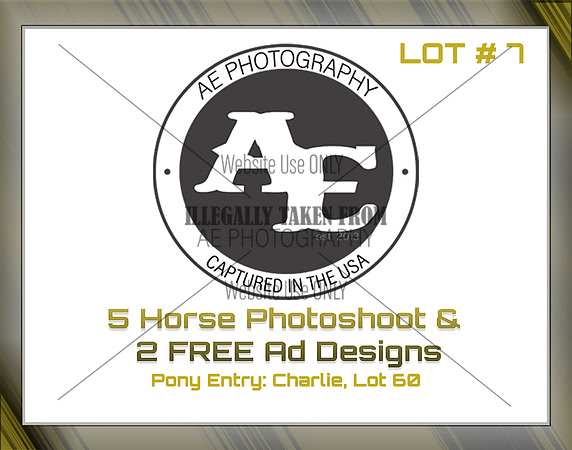 Benefit-sponsor-lot 7