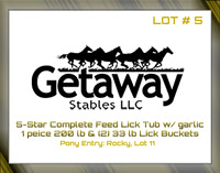 Benefit-sponsor-lot 5