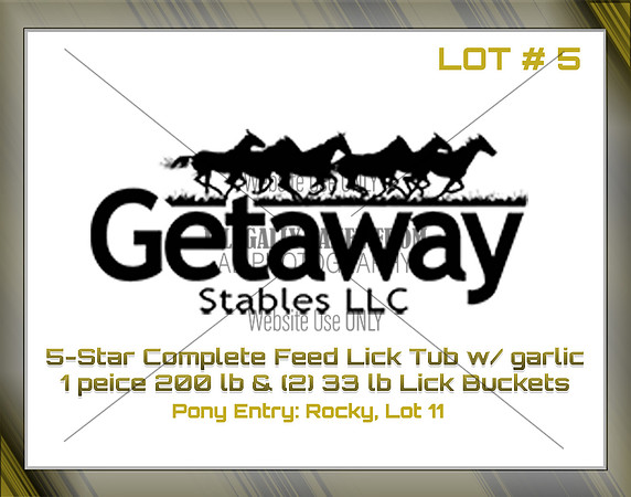 Benefit-sponsor-lot 5