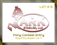 Benefit-sponsor-lot 9