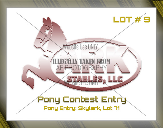 Benefit-sponsor-lot 9