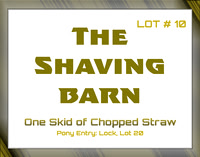 Benefit-sponsor-lot 10