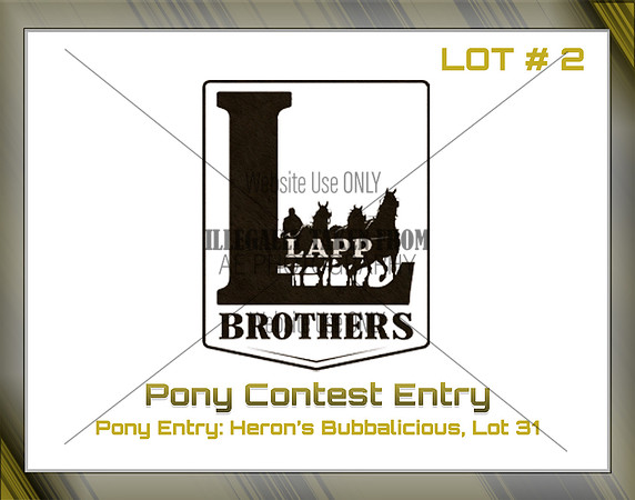 Benefit-sponsor-lot 2