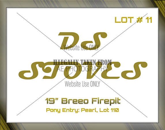 Benefit-sponsor-lot 11