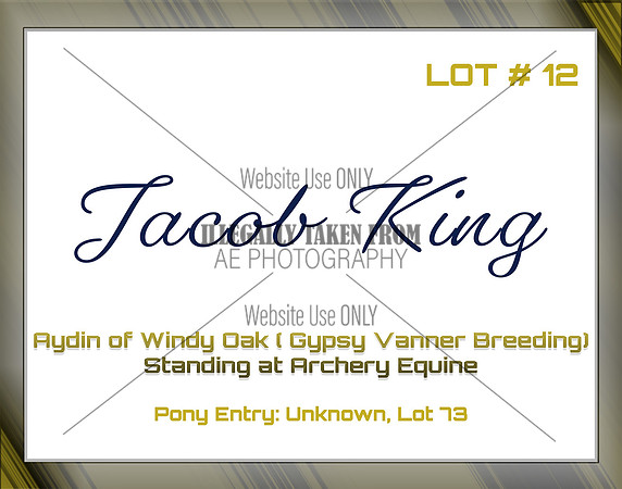 Benefit-sponsor-lot 12