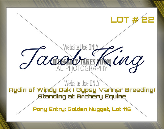 Benefit-sponsor-lot 22