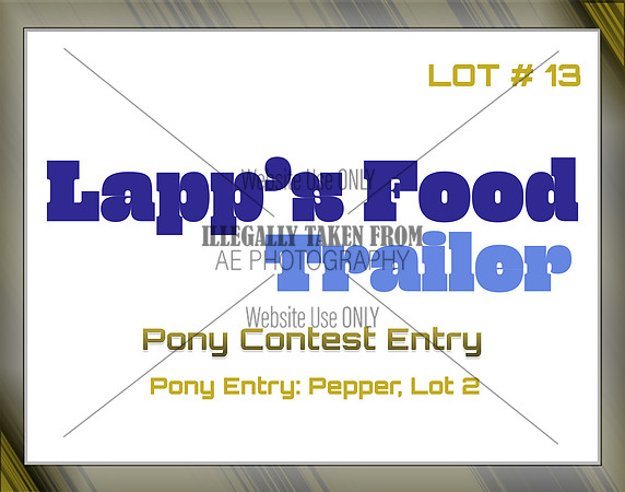 Benefit-sponsor-lot 13