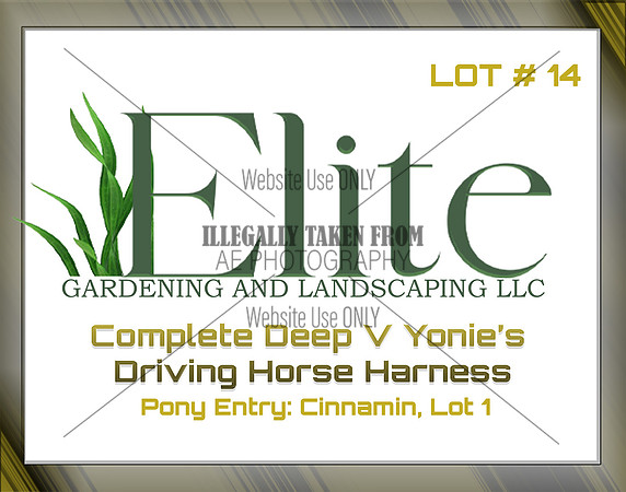 Benefit-sponsor-lot 14