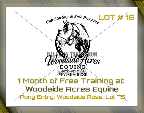 Benefit-sponsor-lot 15