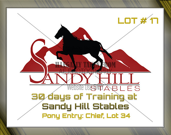 Benefit-sponsor-lot 17