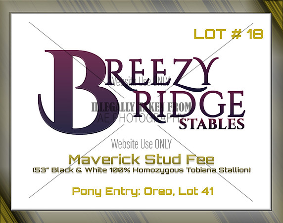 Benefit-sponsor-lot 18