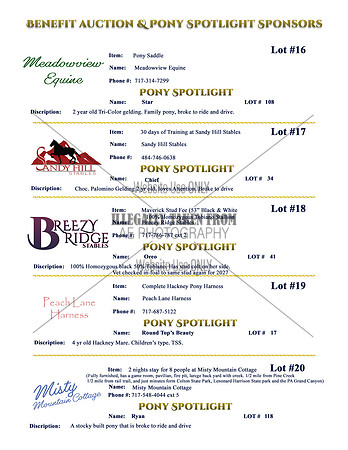 Benefit-sponsors-page4