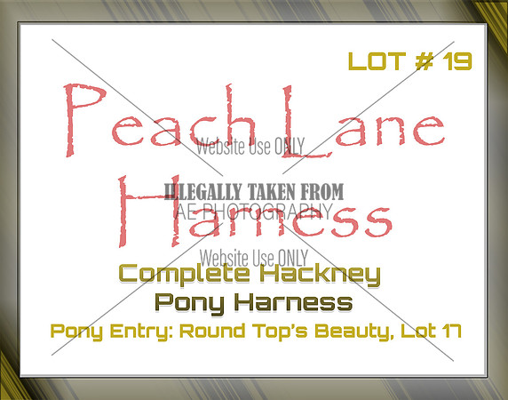 Benefit-sponsor-lot 19