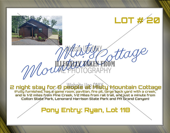 Benefit-sponsor-lot 20