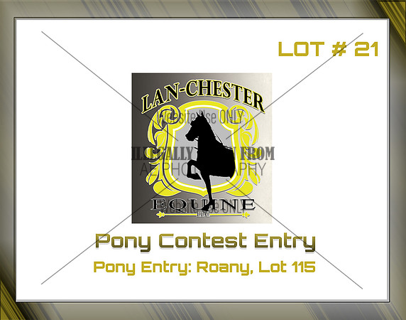 Benefit-sponsor-lot 21
