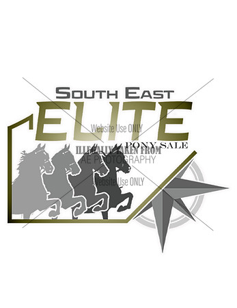 Southeastelite-pony sale