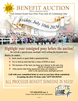 Benefit Auction - for owners